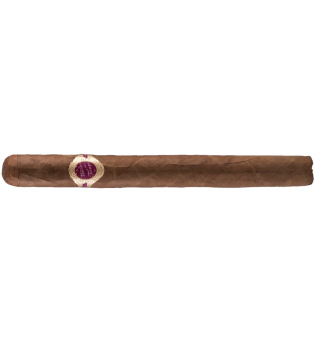 Warped Cigars Maestro del Tiempo 5205