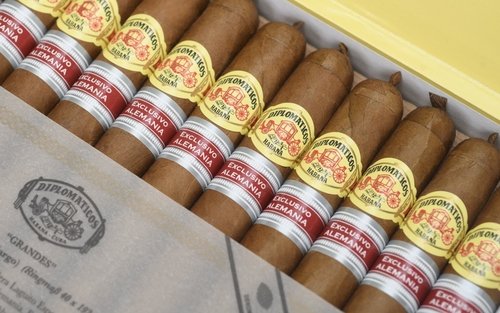 Zigarren der Serie Diplomaticos Edición Regional