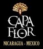 Logo der Marke Capa Flor