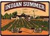 Logo der Marke Indian Summer