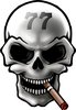 Skull 77 Logo of the brand Skull 77