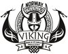 Logo of the brand Viking