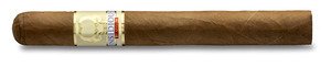 Asylum Insidious Corona 44x6