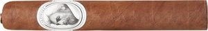 Zigarren Dominikanische Republik  Caldwell Corretto (Robusto)