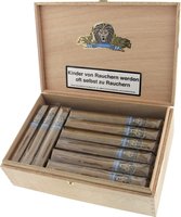 Zigarren Costa Rica  La Bavaria Light Lion Hispaniola Kombinationskiste (18 Toro & 9 Robusto)