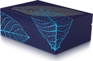 Zigarrenzubehör Humidor  Zino Leaf Graphic blau (51000226)