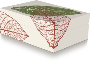 Zigarrenzubehör Humidor  Zino Leaf Graphic beige (100259)