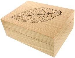 Zigarrenzubehör Humidor  Zino Z 60 Eiche natur (112388)
