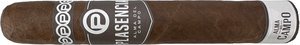 Zigarren Nicaragua  Plasencia Guajiro (Robusto Gordo)