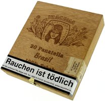 Iracema Panatella Brasil