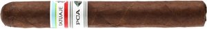 Tatuaje La Seleccion de Cazador PCA 2023 Limited Edition
