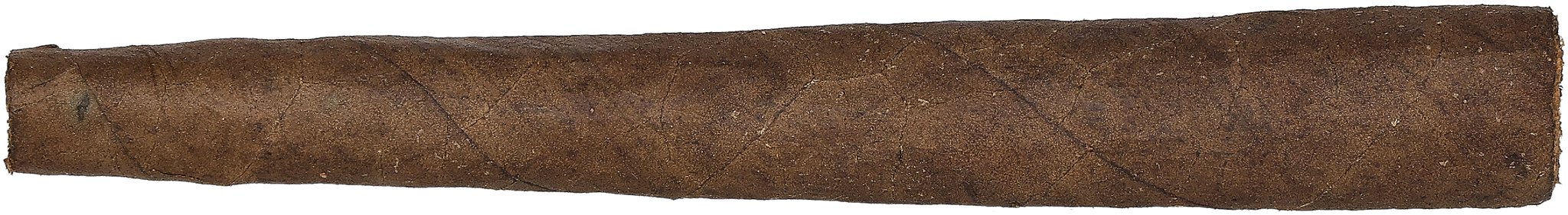 Trompetas Sumatra Stick