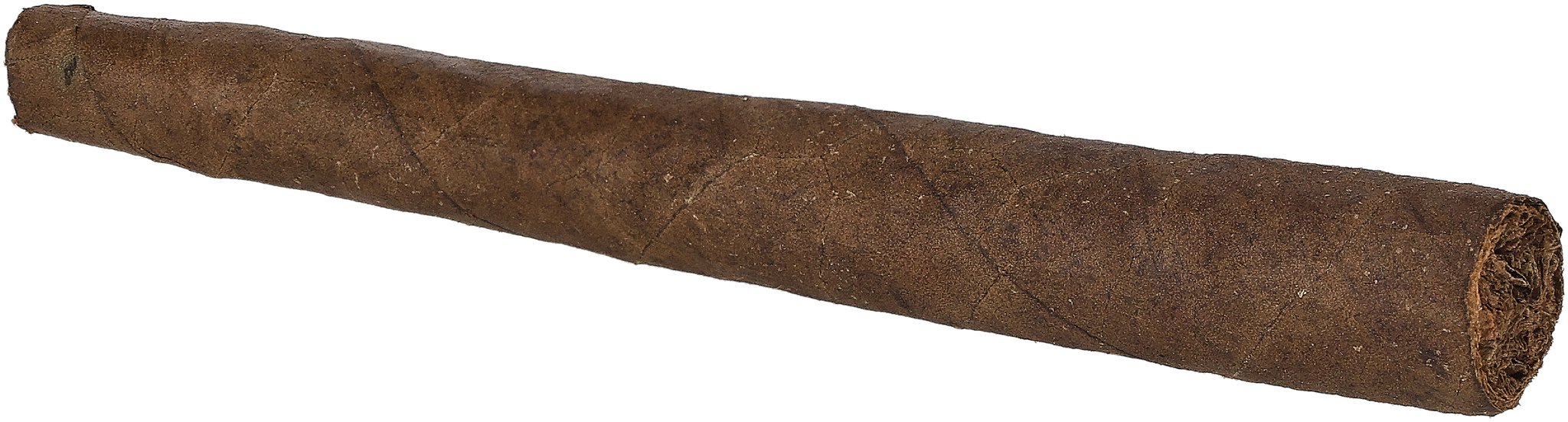Trompetas Sumatra Stick 02