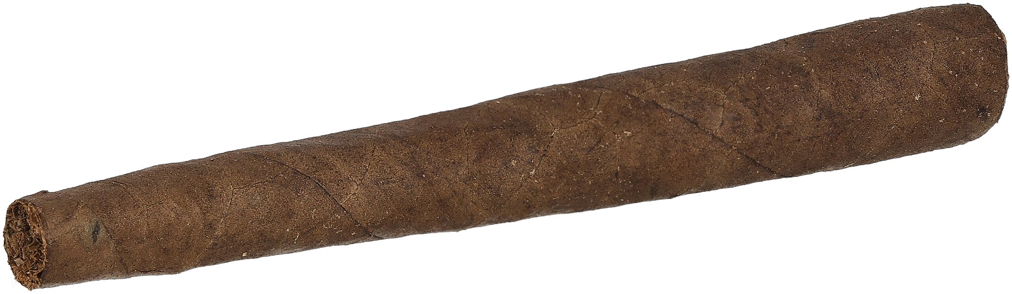 Trompetas Sumatra Stick 3