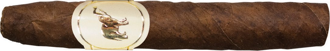 De Olifant Emotion Bahia Brasil Matelieff