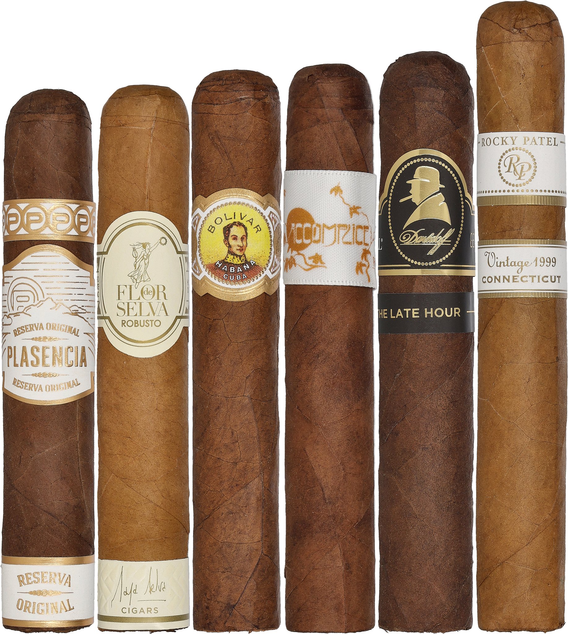 Patricia 'Meine Favoriten' sticks