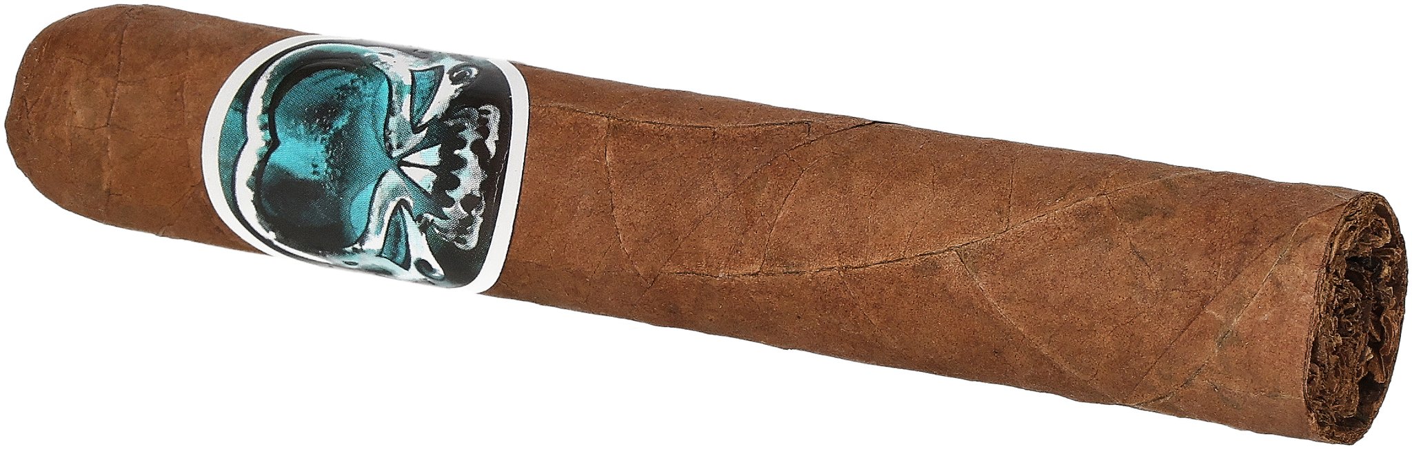 Asylum Cigars Schizo Robusto Zigarre