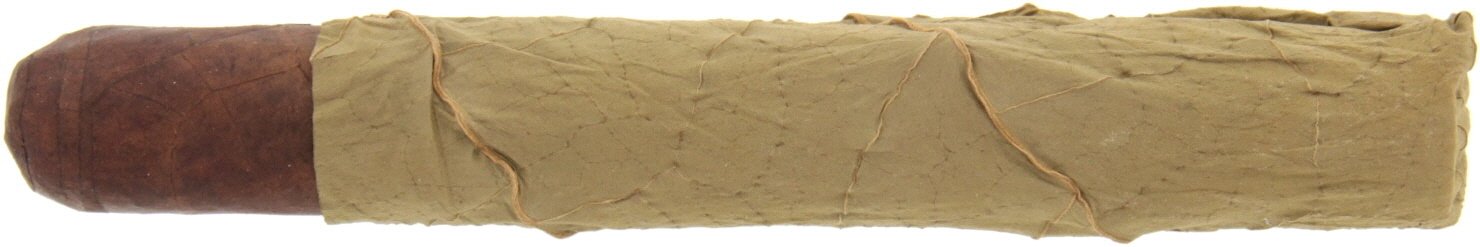 The Leaf by Oscar Valladeres - The Oscar Toro