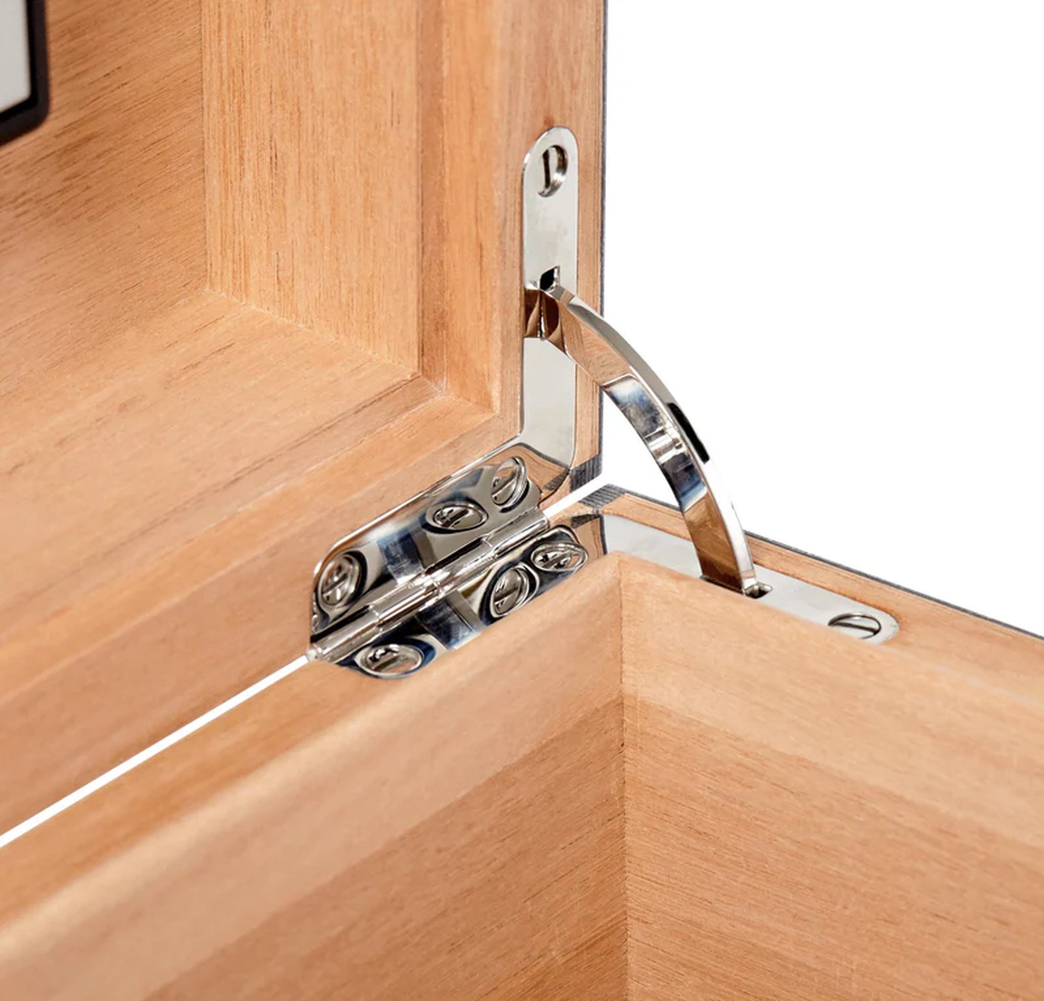 Bleu Vanity Emphemeral Rose Black Sycamore