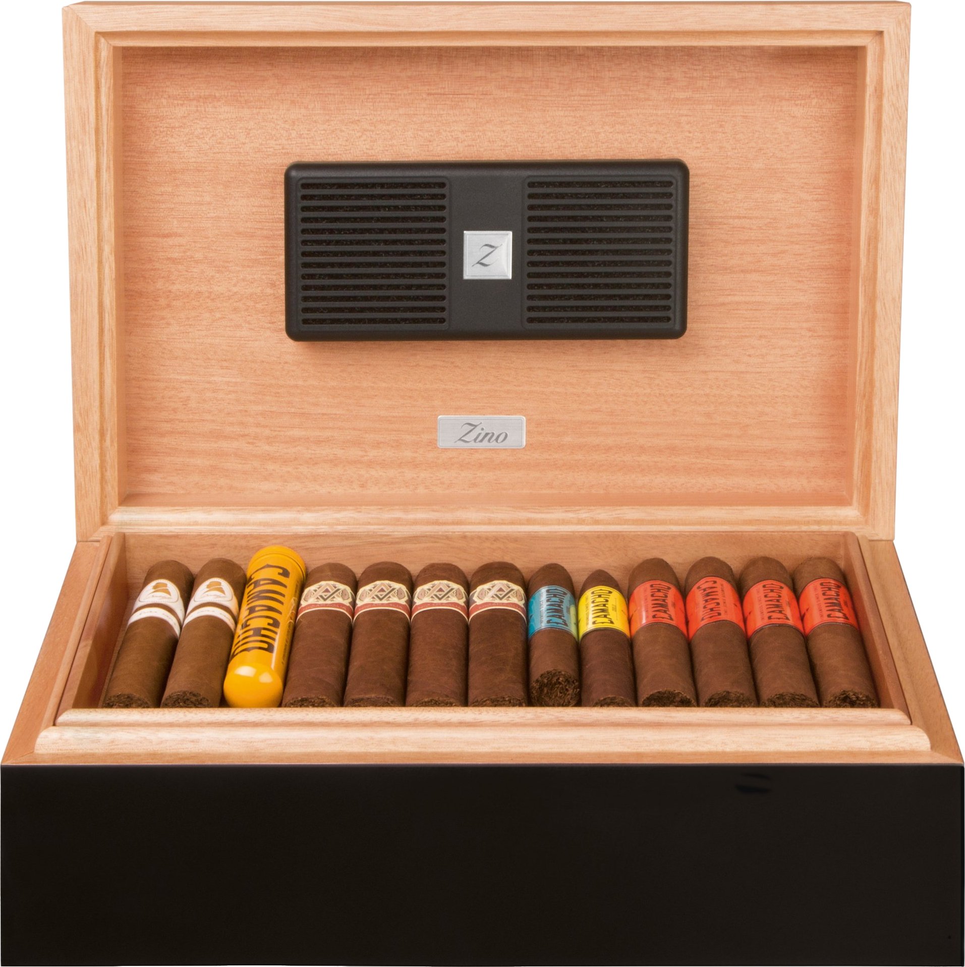 Zino Humidor Z 80 Ayous grau grün (51000262) offen