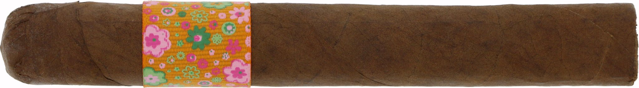 Dalay Artisan Series Box 11 von 30 Zigarre