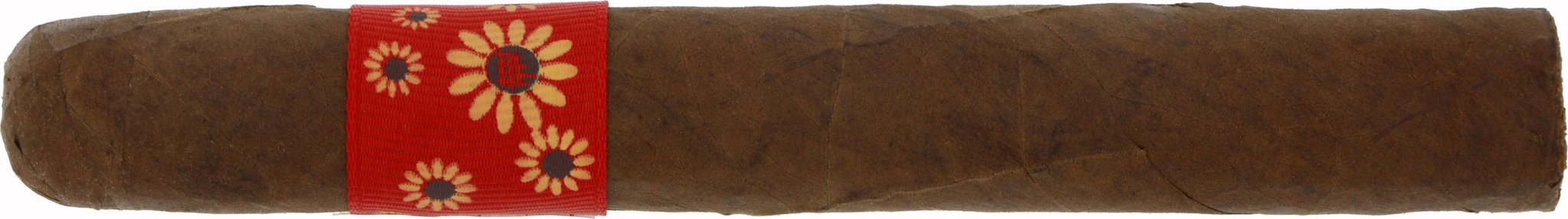 Dalay Artisan Series Box 7 von 30 Zigarre