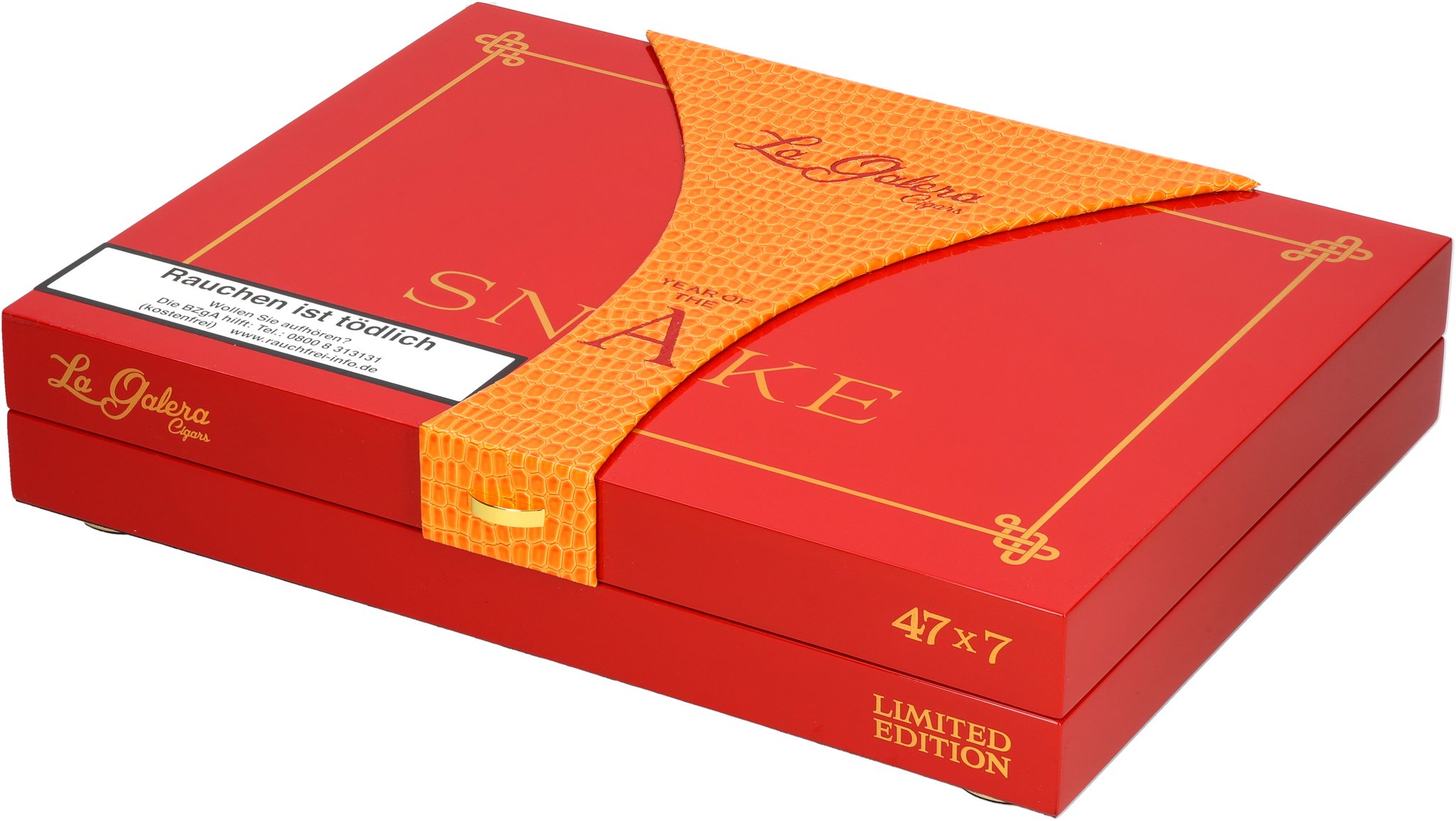 Year of the Snake KIste