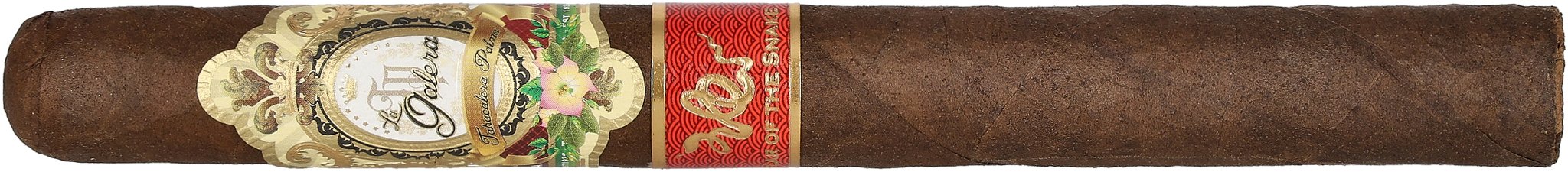 Year of the Snake Stick