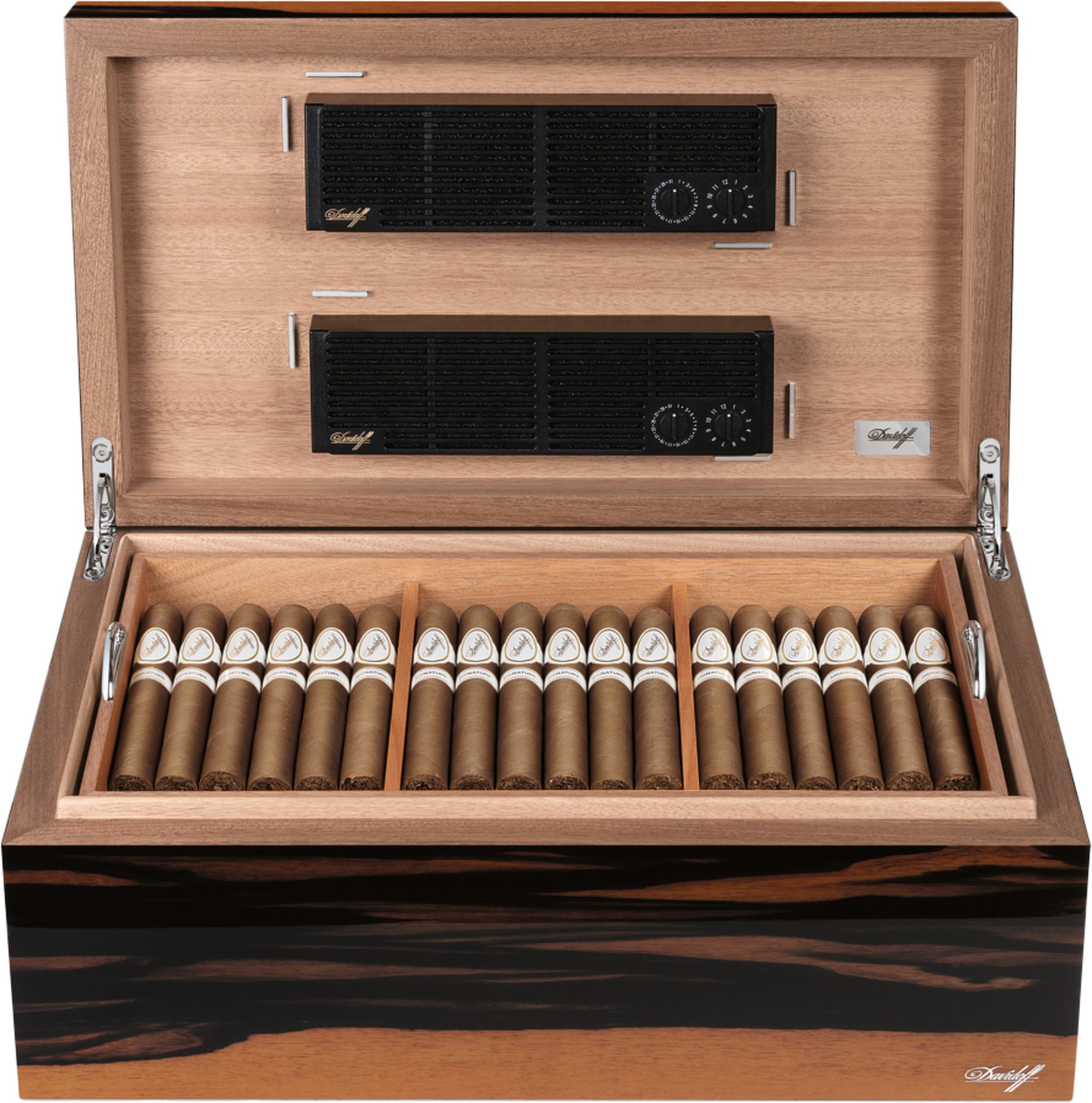 Ebenholz glänzend 05