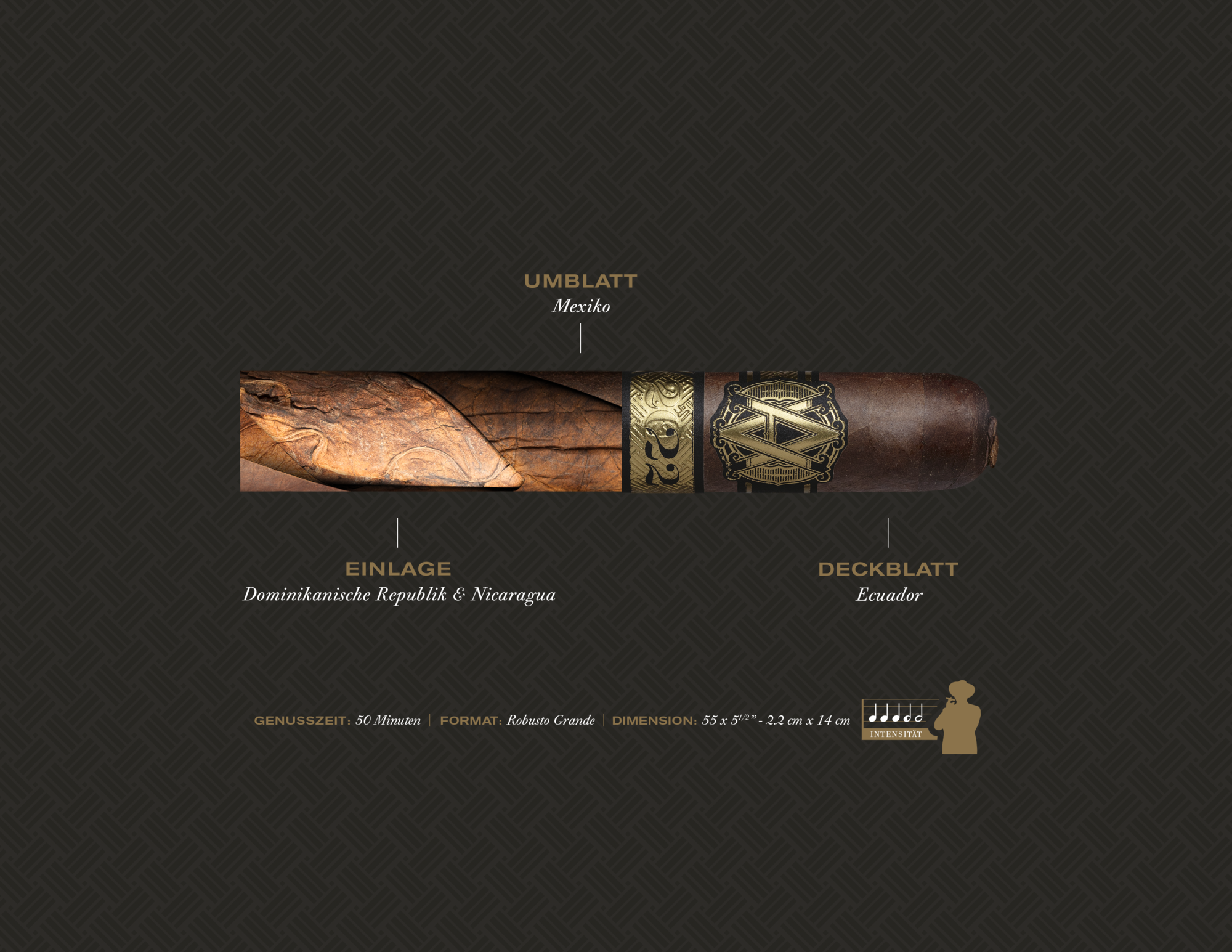 AVO Limited Editions 2022 Improvisation Robusto Grande Kiste