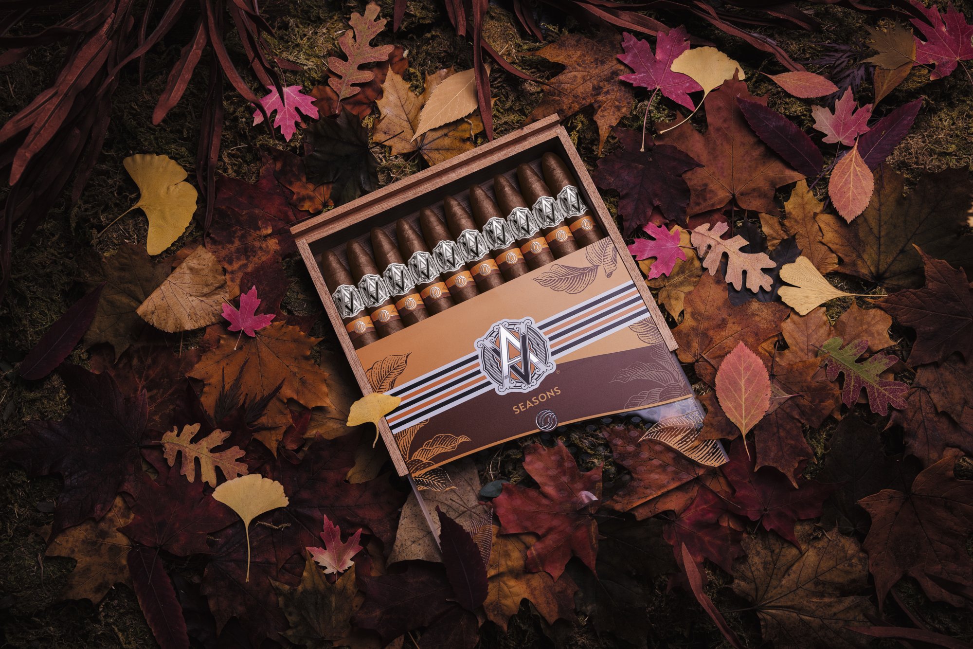 Fall 2023 Diadema Stimmungsbild