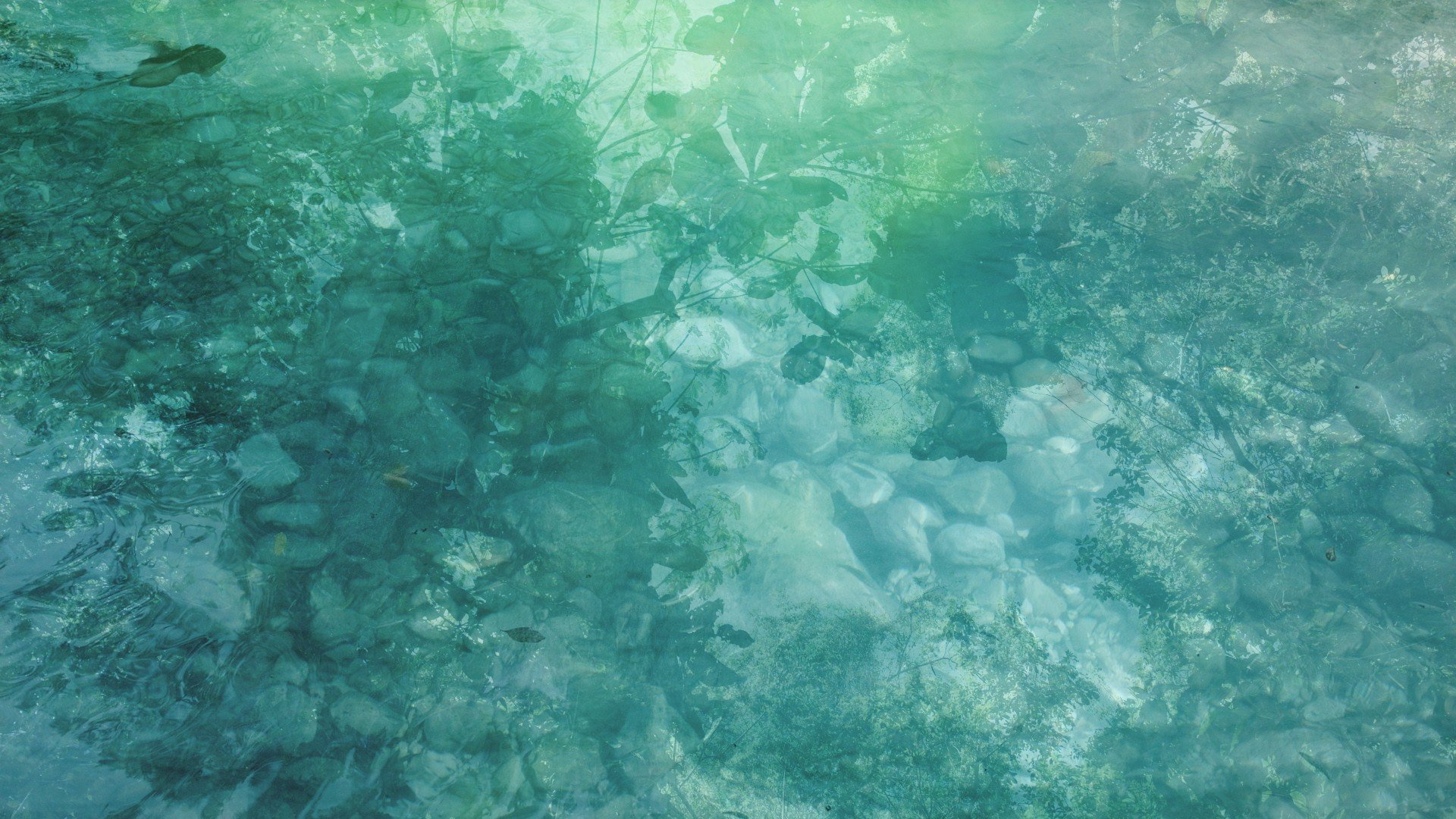 Davidoff Limited Editions ART Edition 2016 Design 1