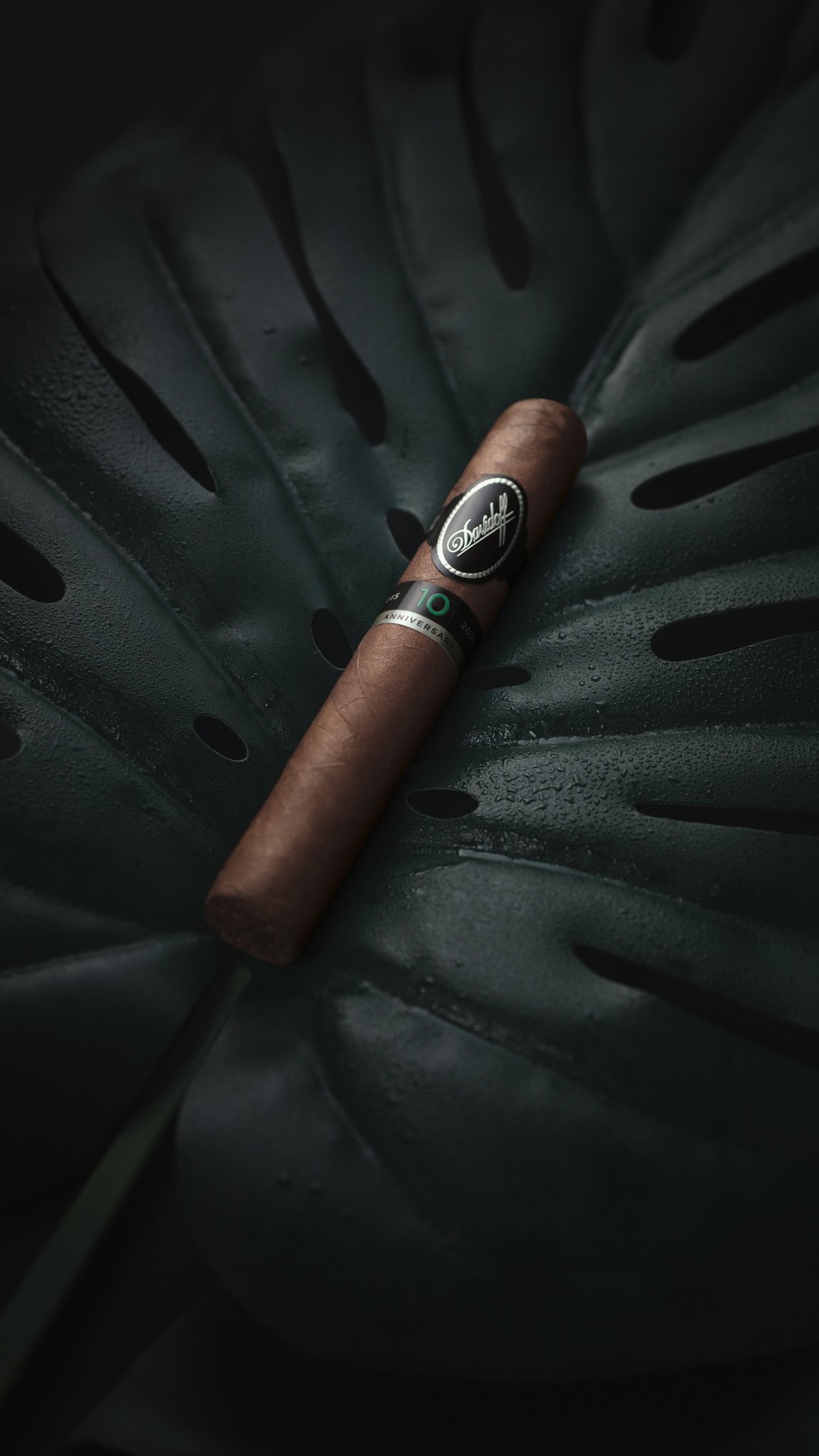 Limited Edition 2025 Mood