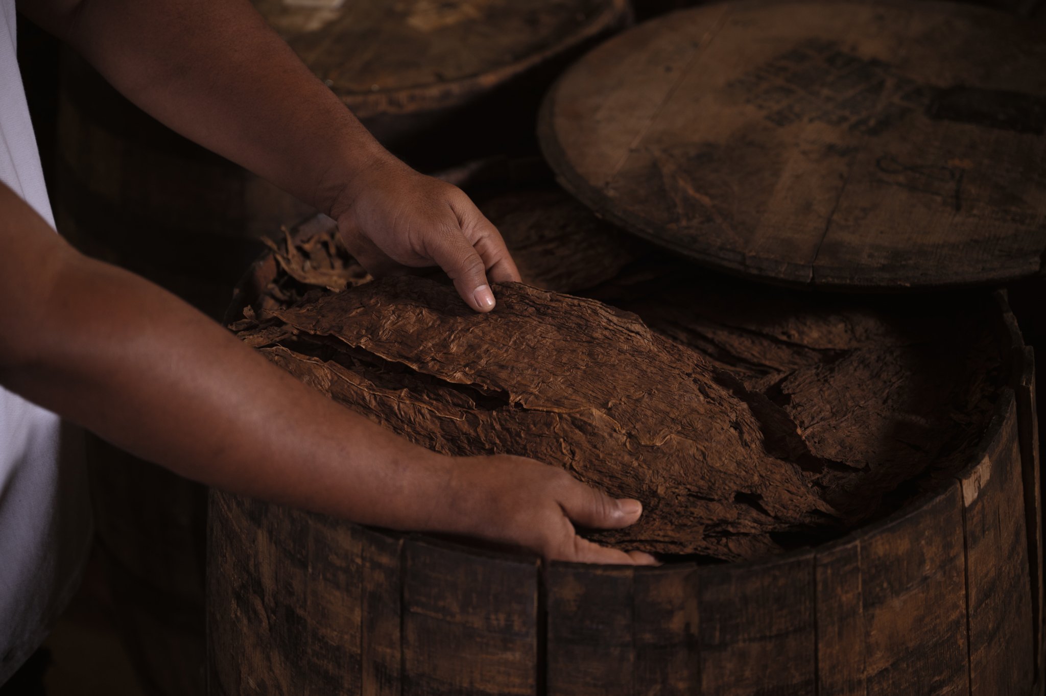 Limited Edition 2025 Mood 3