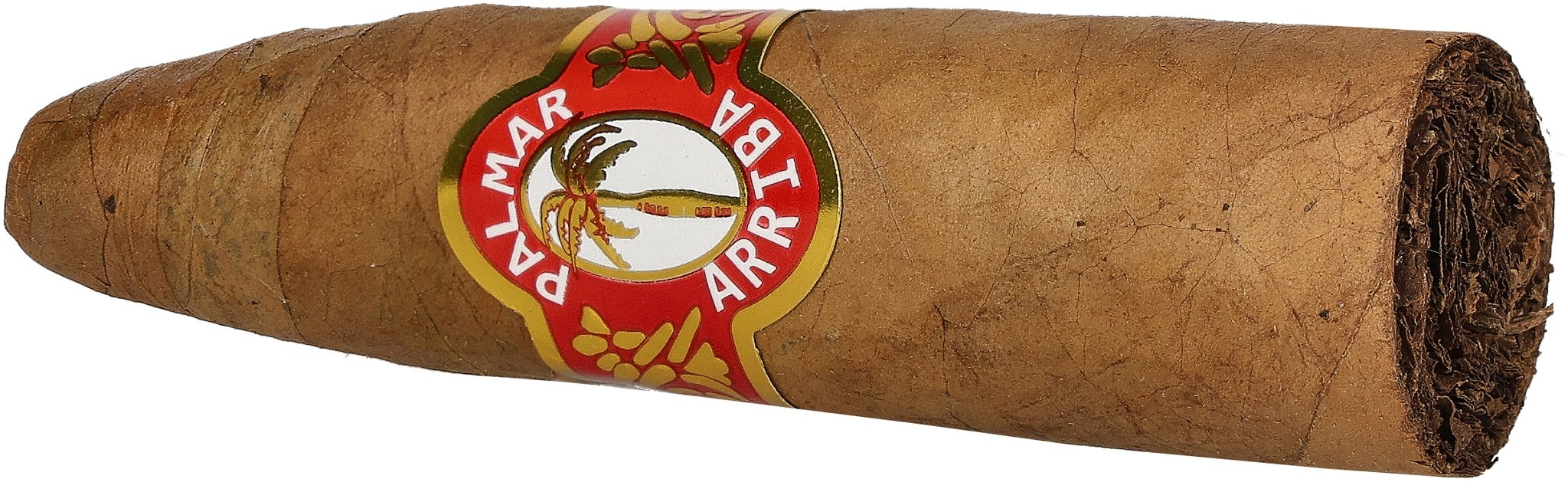 Palmar Arriba X-tra_02