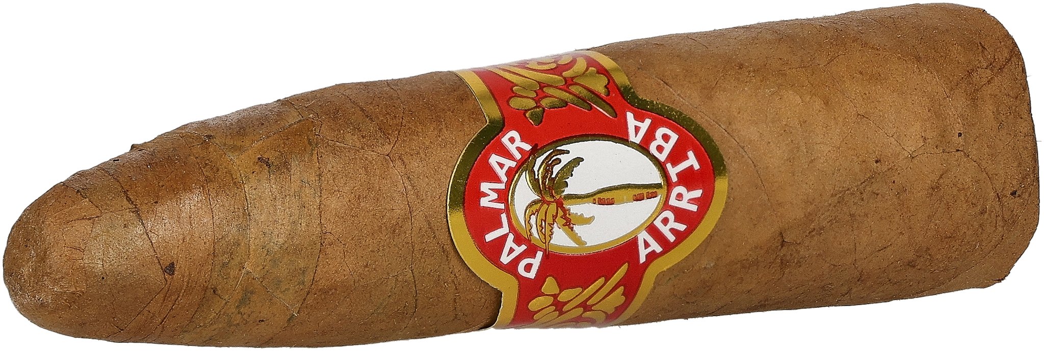 Palmar Arriba X-tra_03