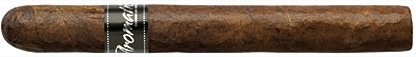 Aromaticó Flavoured Handmade Cigars Corona Rum