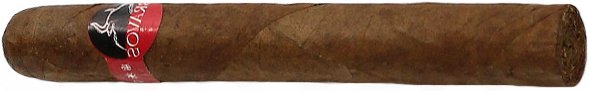 Bravos Toro