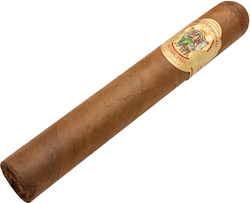 1921 Robusto schräg 2