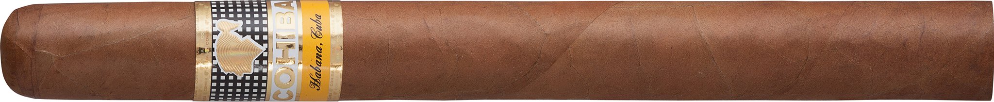 Cohiba Zigarren Siglo V