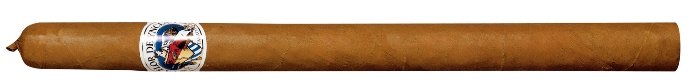 La Flor de Ynclan Lancero