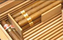 Adorini Humidorzubehör Divider Vertikal (schmal/gezackt/klein)