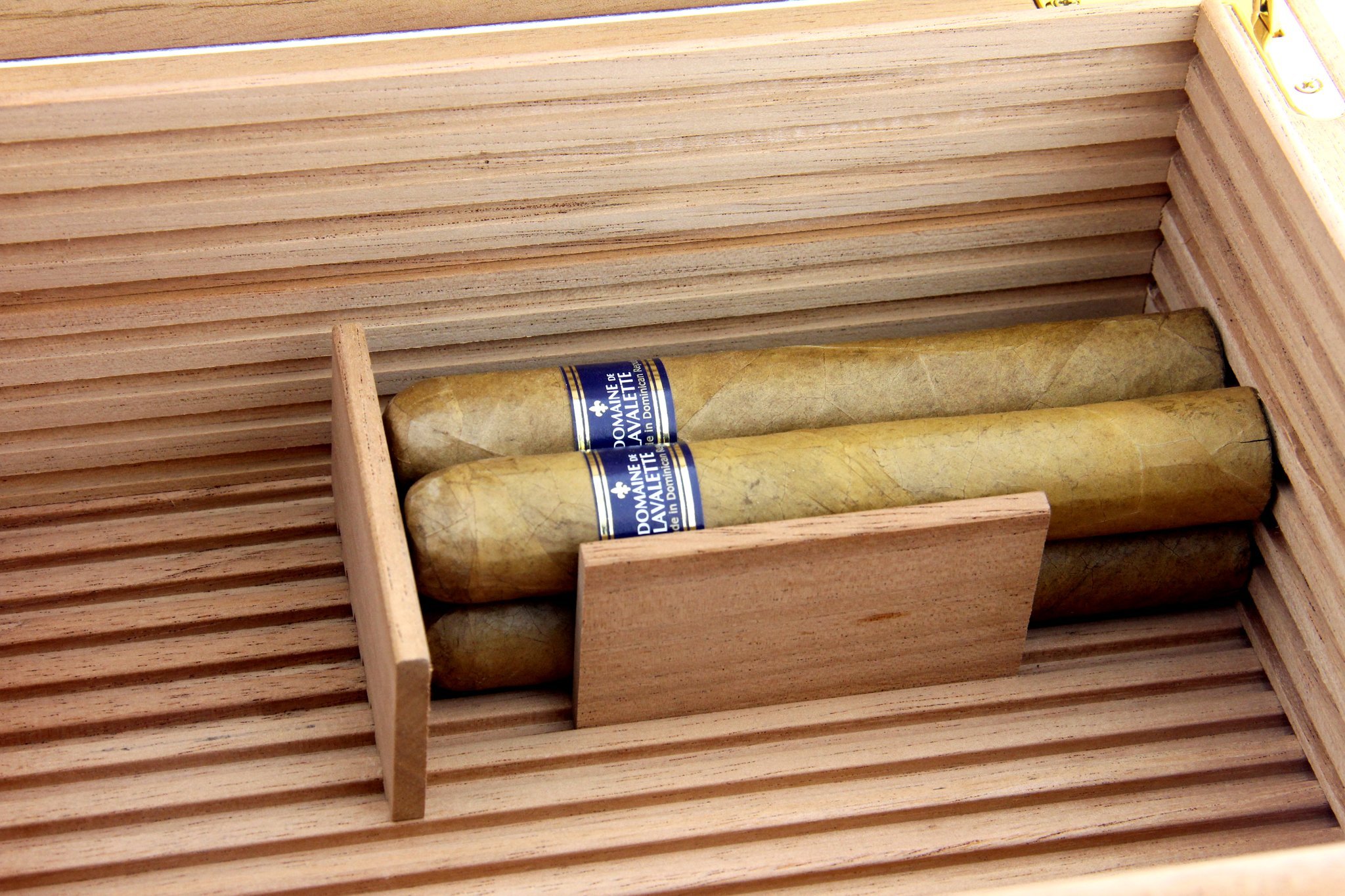 Adorini Humidorzubehör Divider Vertikal (schmal/gezackt/klein) für Trays 4565 Detailbild 2