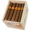Classico Robusto Kiste