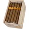 Classico Corona Kiste