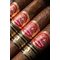 Partagas Edicion Limitada Legado EL 2020 Detailbild 1