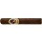 Dona Flor (MF) Mata Fina Robusto (MF)