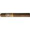 Alec Bradley Coyol Double Churchill
