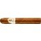 Davidoff Winston Churchill Petit Corona The Artist