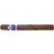 Thomas Timm Sylt Regent No. 754